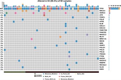 Construction and Validation of a Platinum Sensitivity Predictive Model With Multiple Genomic Variations for Epithelial Ovarian Cancer